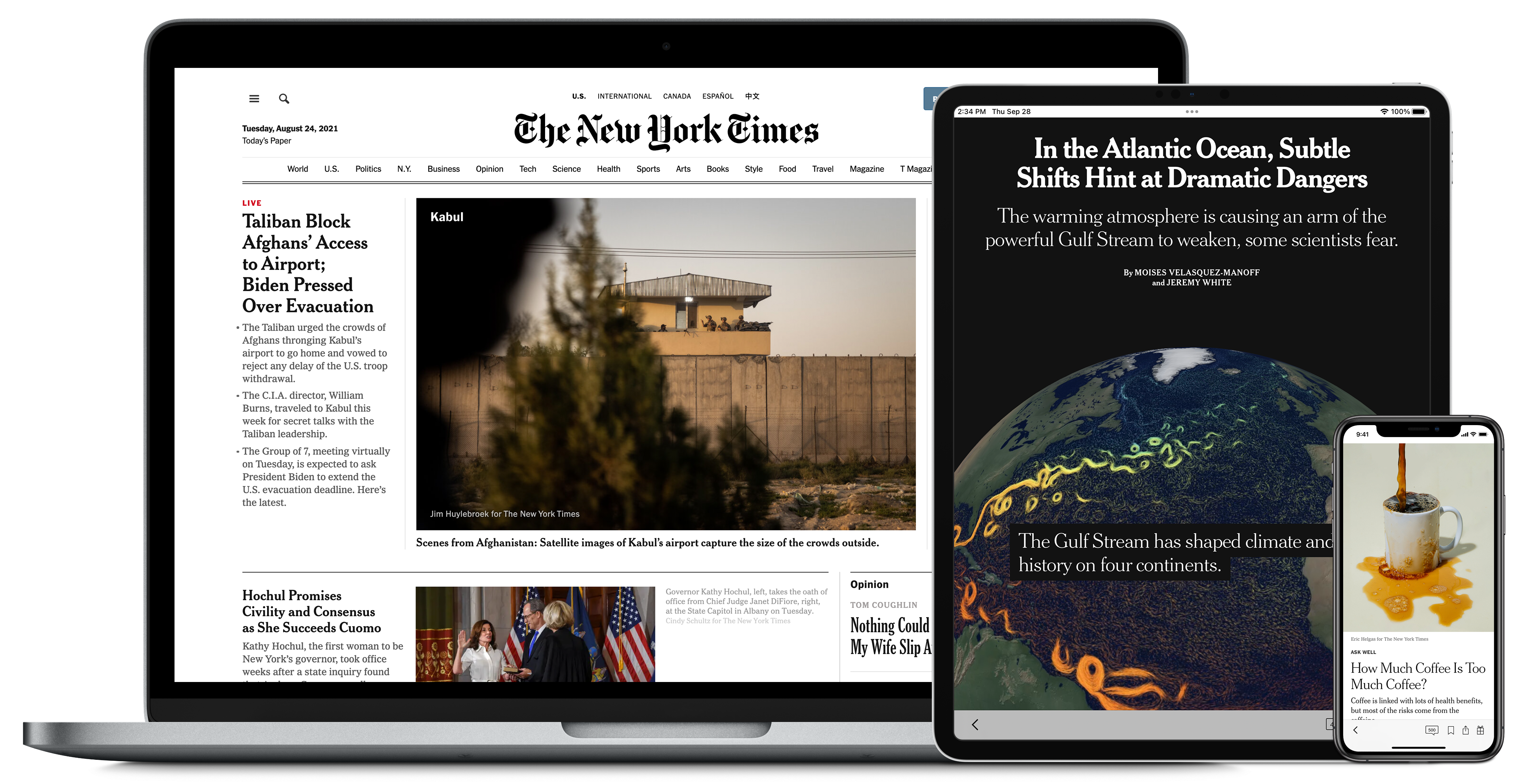 NYT image