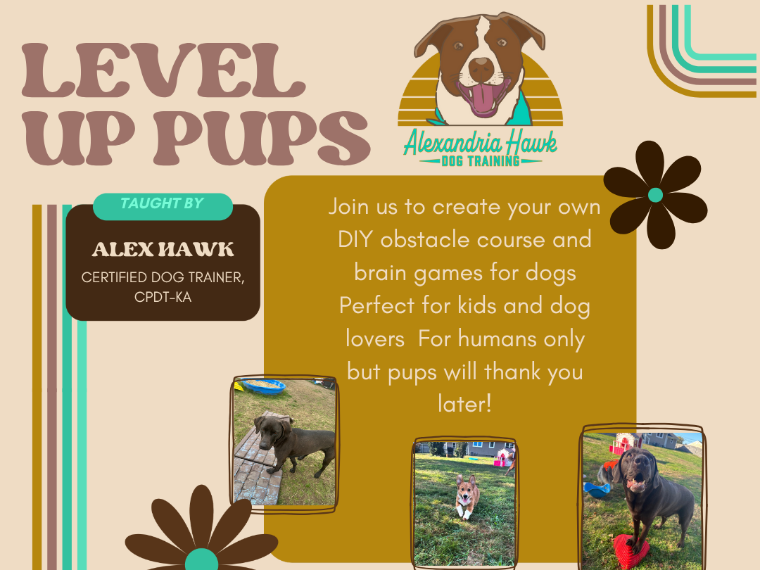 Level Up Pups