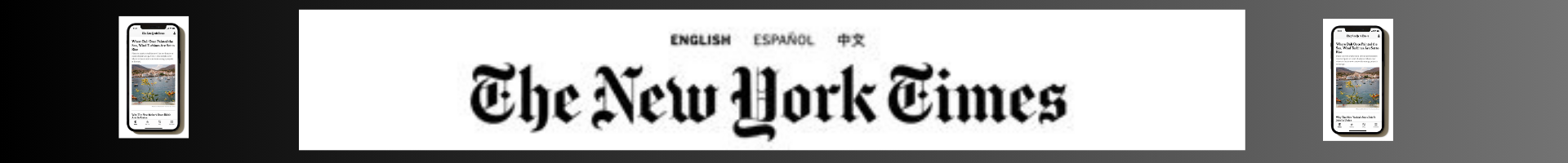 New York Times Banner